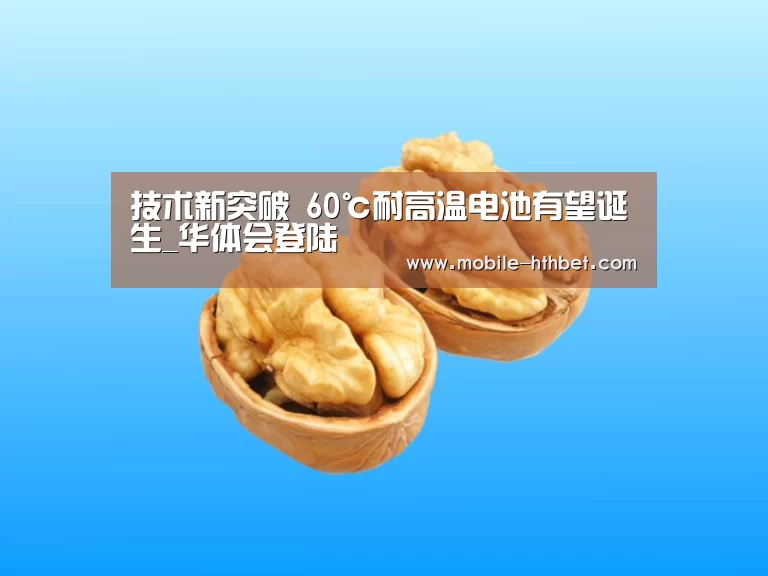 华体会入口