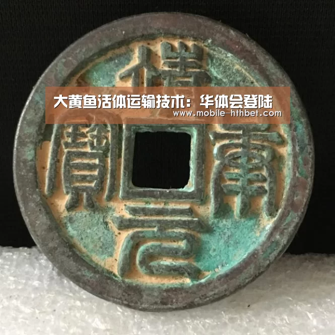 大黄鱼活体运输技术:华体会登陆(图1) 华体会登陆