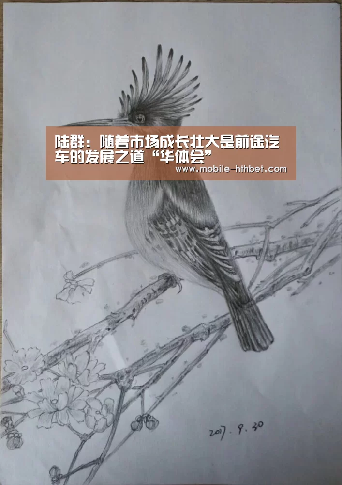 华体会