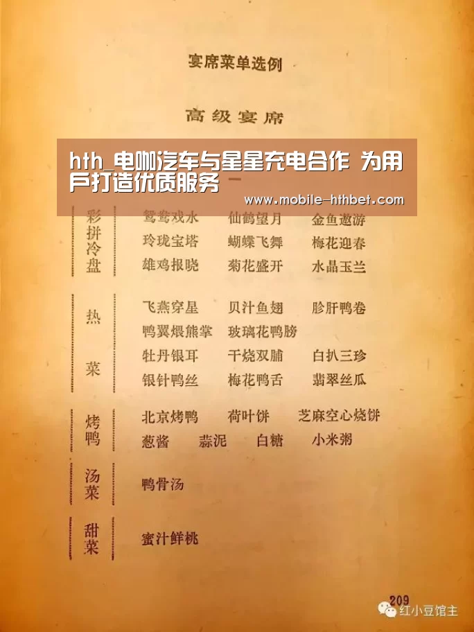 hth_电咖汽车与星星充电合作 为用户打造优质服务(图1)