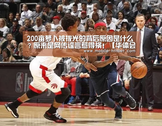 200亩萝卜被拔光的背后原因是什么?原来是网传谣言惹得祸!【华体会登陆】(图2) 华体会