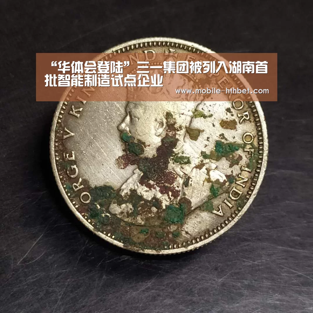“华体会登陆”三一集团被列入湖南首批智能制造试点企业(图2)