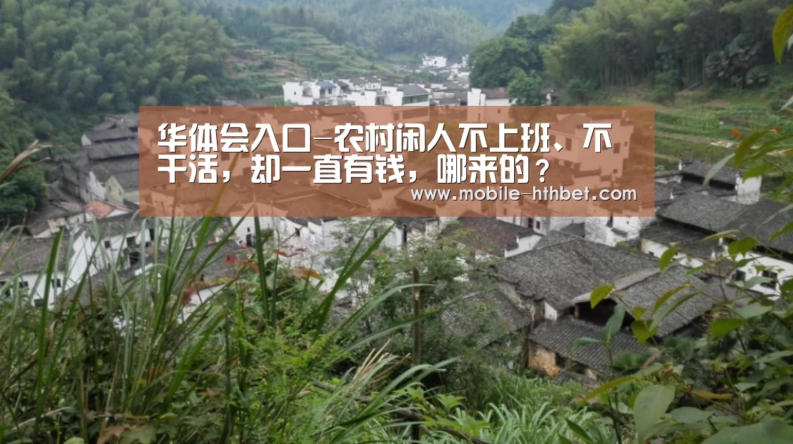 华体会入口-农村闲人不上班、不干活，却一直有钱，哪来的？(图3)