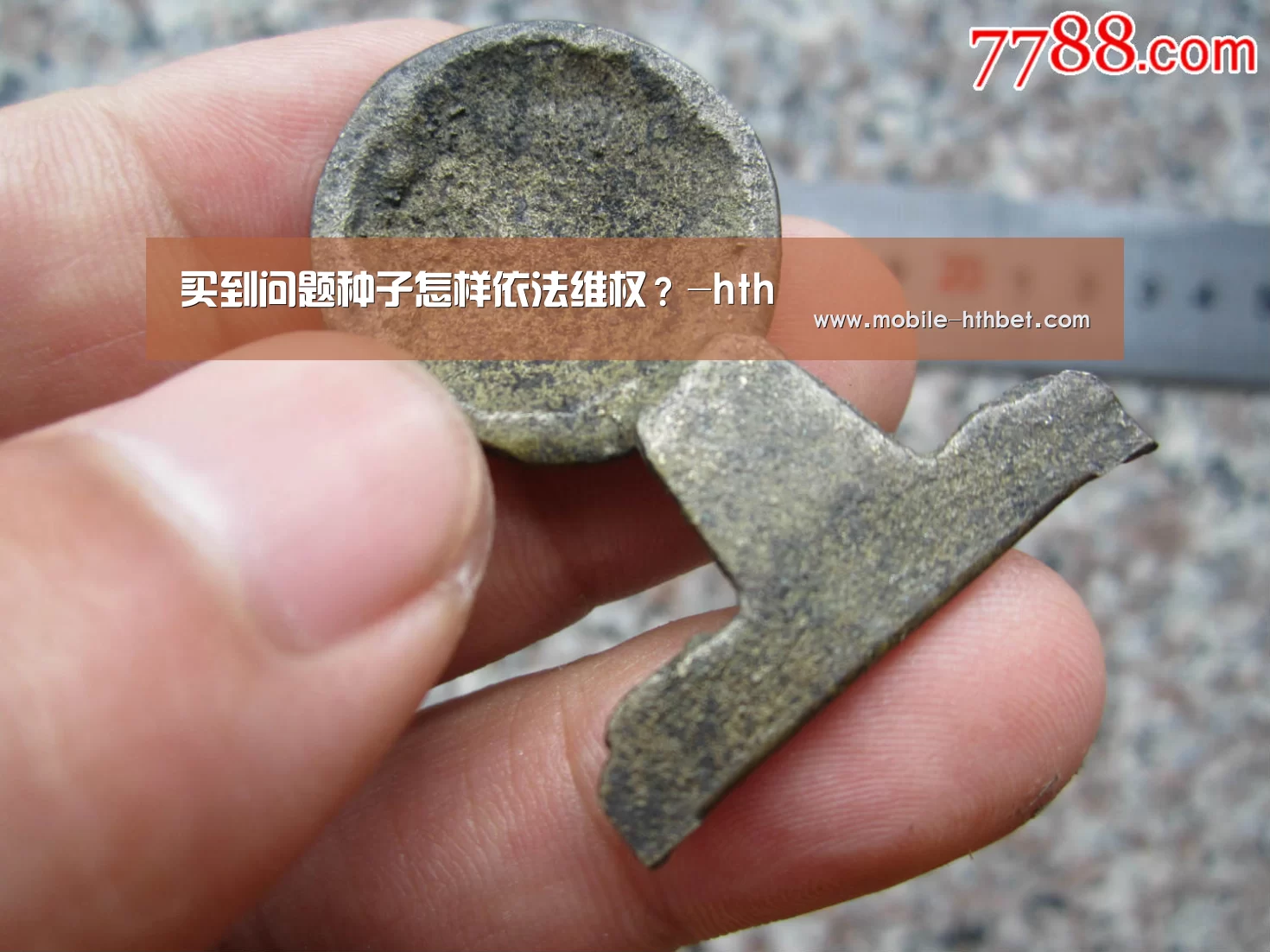 买到问题种子怎样依法维权？-hth(图2)