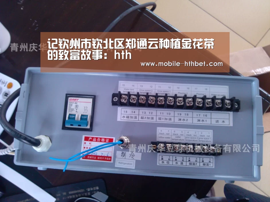 记钦州市钦北区郑通云种植金花茶的致富故事:hth(图1) 华体会