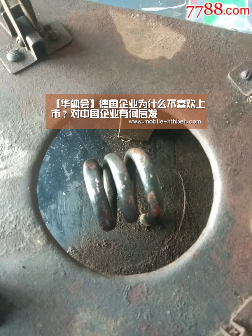 【华体会】德国企业为什么不喜欢上市?对中国企业有何启发(图2) 华体会入口
