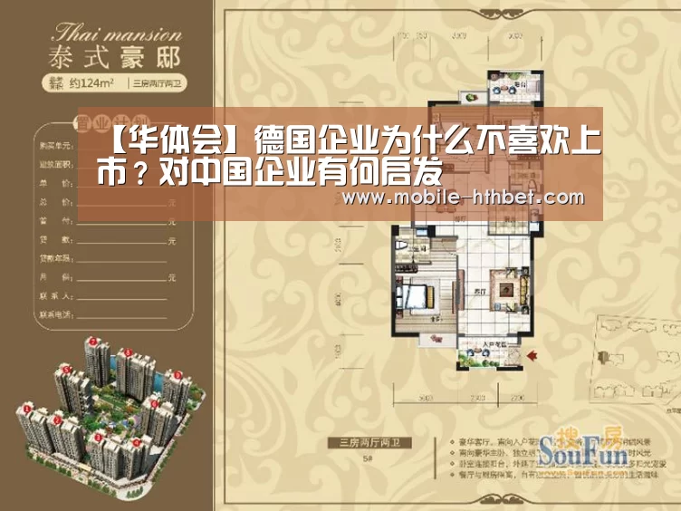【华体会】德国企业为什么不喜欢上市?对中国企业有何启发(图3) 华体会