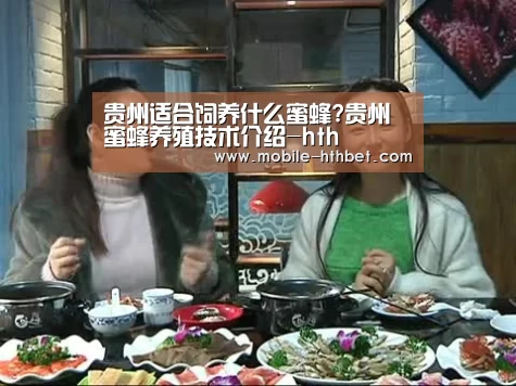 贵州适合饲养什么蜜蜂?贵州蜜蜂养殖技术介绍-hth(图1) 华体会登陆