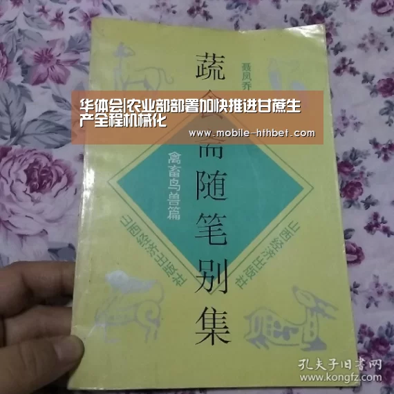 华体会入口