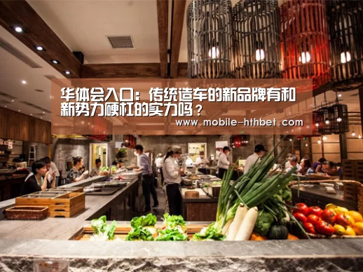 华体会入口:传统造车的新品牌有和新势力硬杠的实力吗?(图2) 华体会登陆